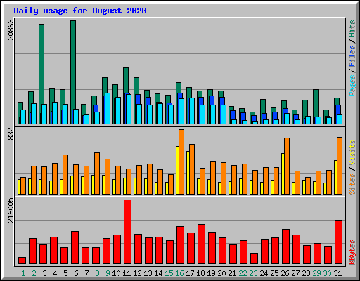 Daily usage for August 2020