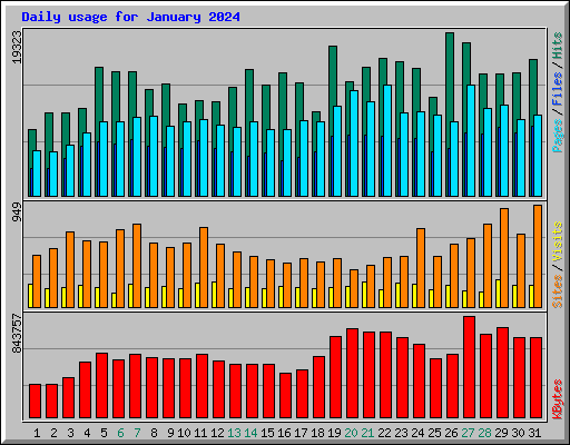 Daily usage for January 2024
