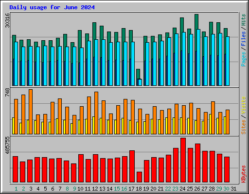 Daily usage for June 2024