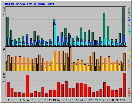 Daily usage for August 2024