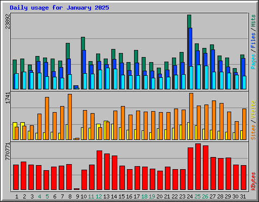 Daily usage for January 2025