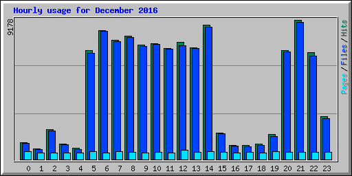 Hourly usage for December 2016