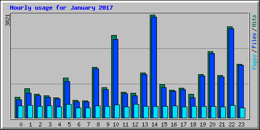 Hourly usage for January 2017