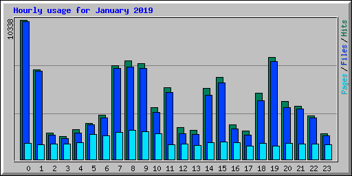 Hourly usage for January 2019