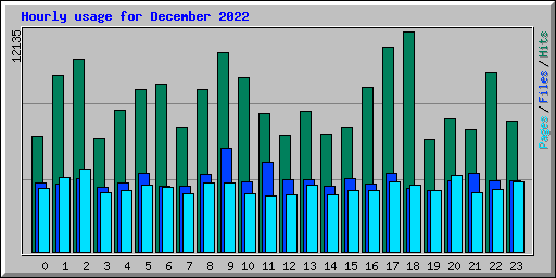 Hourly usage for December 2022