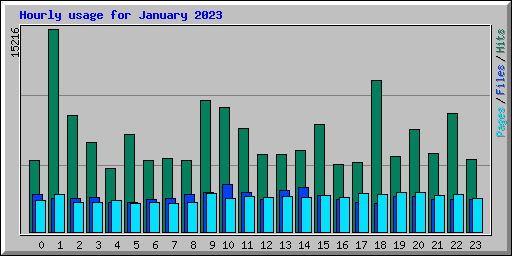 Hourly usage for January 2023