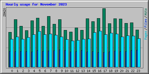Hourly usage for November 2023