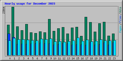 Hourly usage for December 2023