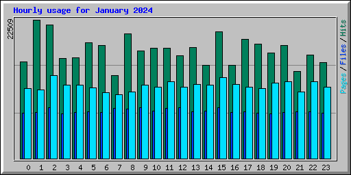 Hourly usage for January 2024