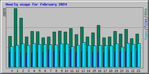 Hourly usage for February 2024