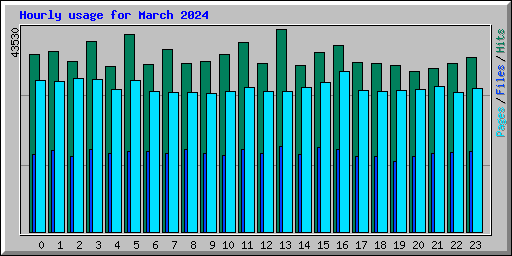 Hourly usage for March 2024