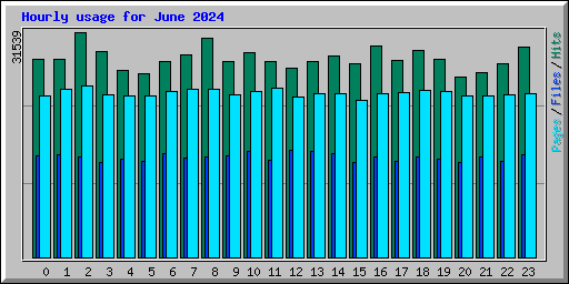 Hourly usage for June 2024
