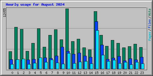 Hourly usage for August 2024