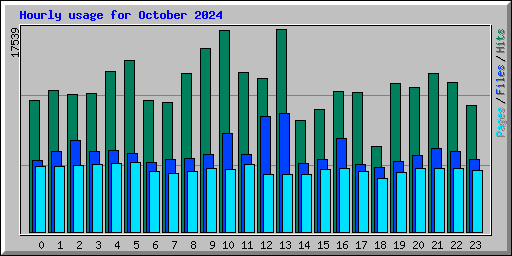 Hourly usage for October 2024