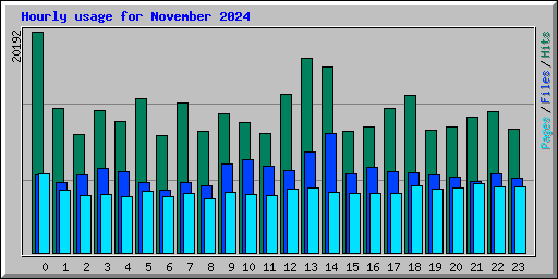 Hourly usage for November 2024