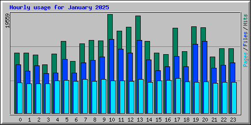 Hourly usage for January 2025