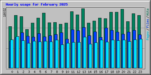 Hourly usage for February 2025