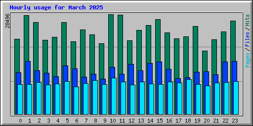 Hourly usage for March 2025