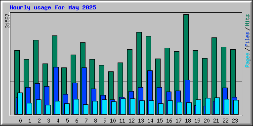 Hourly usage for May 2025